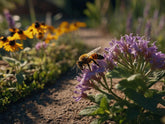Bee-Friendly Plants