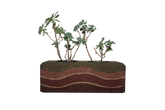Earth Brick Pot