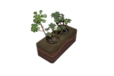 Earth Brick Pot