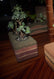 Earth Brick Pot