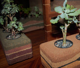 Create Your Own Earth Brick