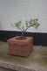 Earth Outpost – Palette Concept Sculpture