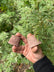 Rammed Earth Sample Package