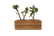 Earth Brick Pot